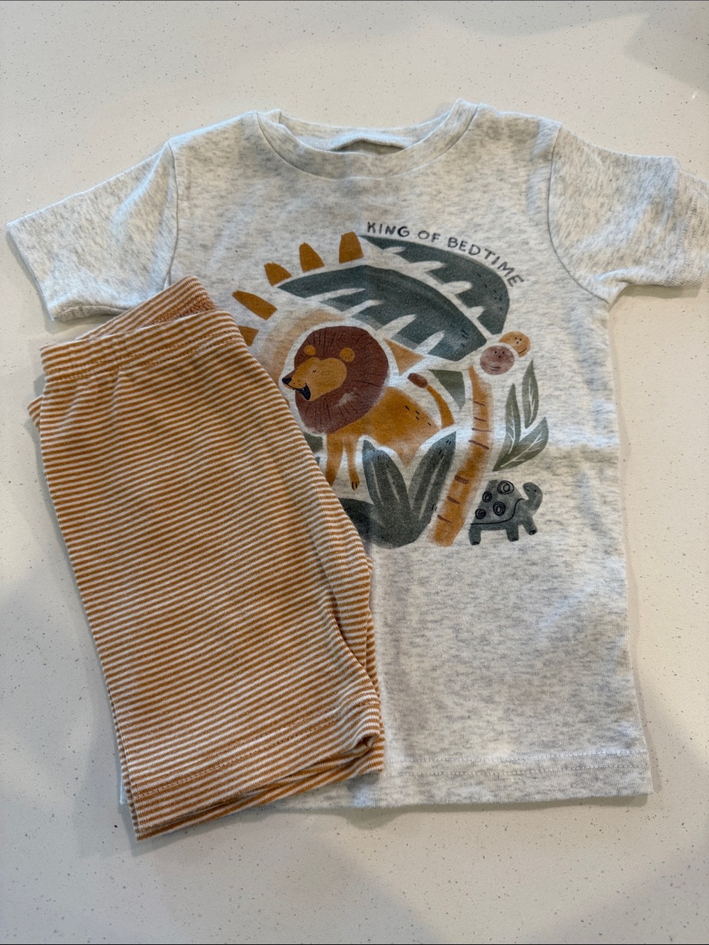Carters Neutral Lion Graphic Tee & Striped Pants Set